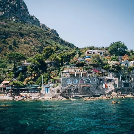 Blue Eyes * 纳拉诺