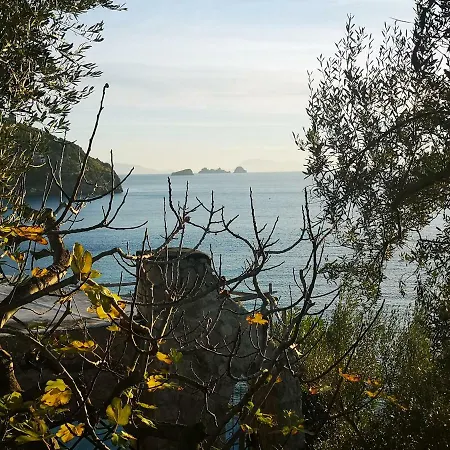 Dom wakacyjny Blue Eyes *