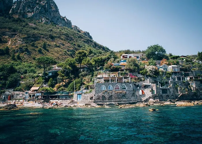 Blue Eyes * 纳拉诺