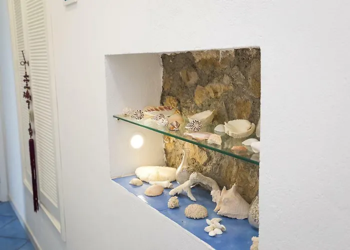 Blue Eyes * 纳拉诺